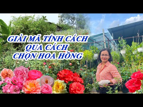 Video: Bảng Bột Muối: Làm Thế Nào để Làm Cho Bông Hoa Bằng Tay Của Riêng Bạn Trong Các Giai đoạn? Các Hình ảnh Khác Cho Người Mới Bắt đầu