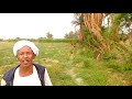 الشاعر هاشم ود التوم الجبارابي القراي الشاعر هاشم ود التوم الجبارابي القراي