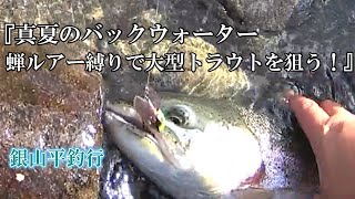 蝉ルアー縛りで大型トラウトを狙う 銀山平釣行 Vol 13 Youtube
