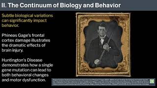 32-Individual Differences - Robert Sapolsky's Human Behavioral Biology