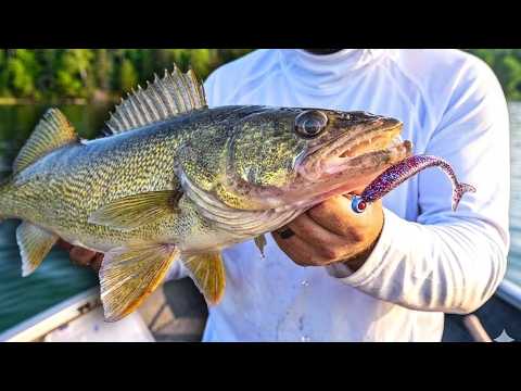 June Walleye Locations & Tips (RANT)