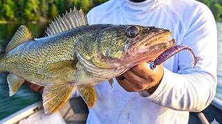 June Walleye Locations & Tips (RANT)