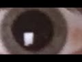 Look at me freestyle 4