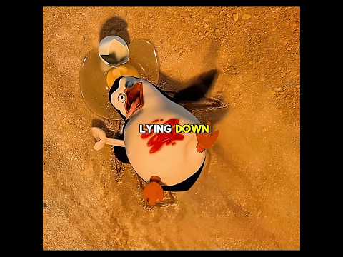 The Penguins Hijacked a Car Then Stole a Plane