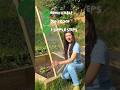 DIY Raised Bed Panels to Protect Against Pests