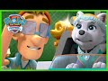 Pups save the Jungle with Tracker and Carlos! | PAW Patrol | Cartoons for Kids Compilation