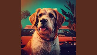 Canine Lofi Patterns