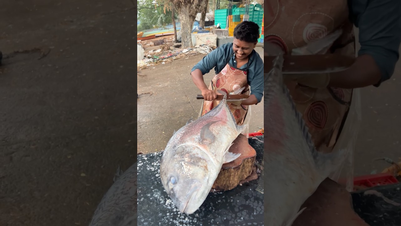 Full video ⬆️ Amazing 🤩 Big Giant trevally Fish Cutting 