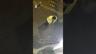 Un bărbat a furat, din fața unui magazin din Constanța, un brad împodobit