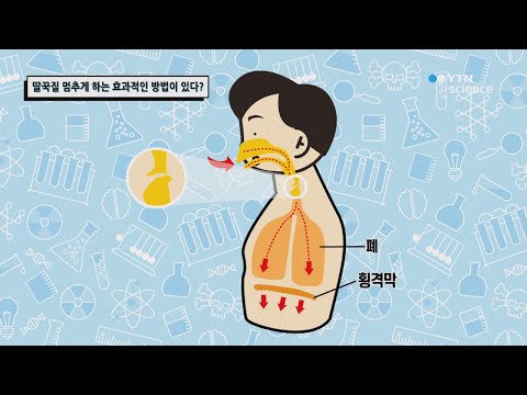 딸꾹질 멈추게 하는 효과적인 방법이 있다? / YTN 사이언스
