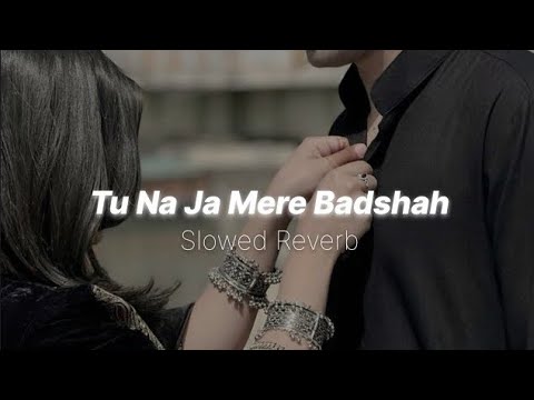 Slowed x Reverb Lofi Song - Tu Na Ja Mere Badshah | 90s love songs  | Alka Yagnik 