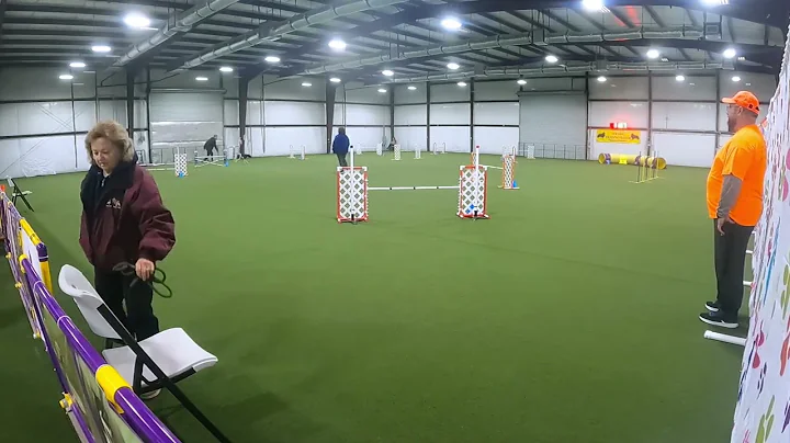 Nitro, AKC Agility; Novice Preferred Jumps with Weaves (JWW) NQ