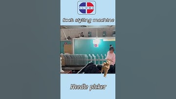 The fixed socks are really different - they are stylish#socks #SockMachine