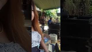 Download Lagu Tambangan with surya nada MP3