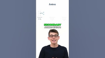 Amineclassificatie uitgelegd! Primair, secundair en tertiair