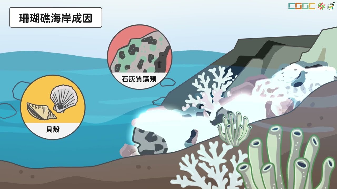 108新課綱｜國七地理｜臺灣的海岸與利用