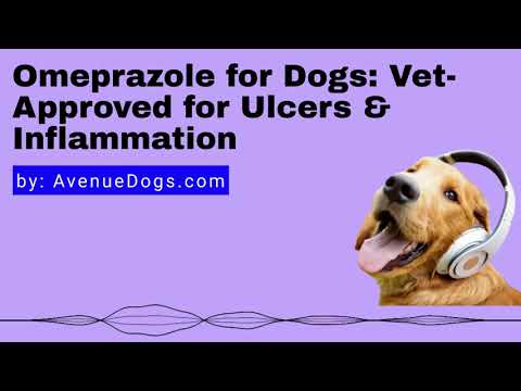 Omeprazole for Dogs: Vet-Approved for Ulcers & Inflammation