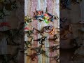 my dinosaur collection