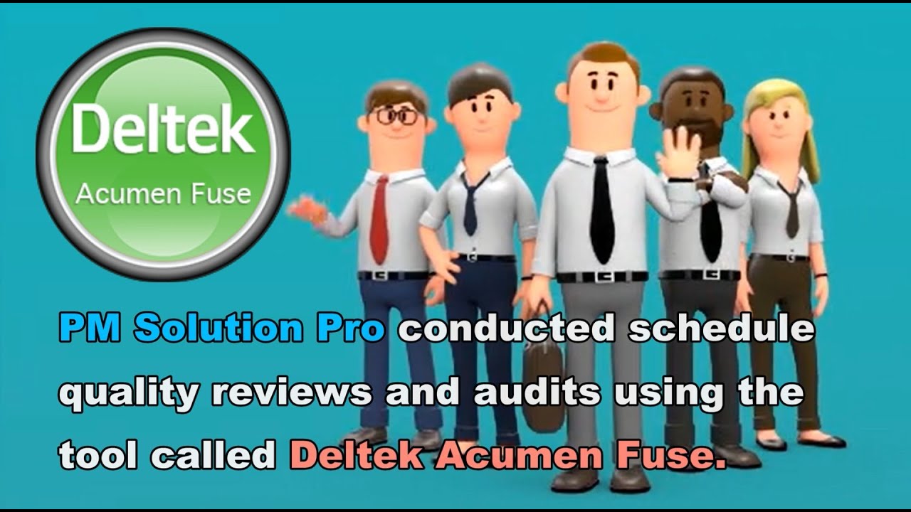 PM Solution Pro is offering Remote Project Schedule Quality Assessment ...
