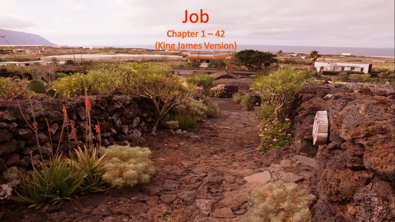 Job Chapter 1 To 42 King James Version YouTube Job Chapter 1 To 42 King James Version YouTube