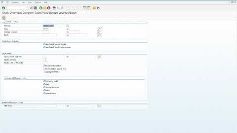SD - Step 10 - Check Stock Status
