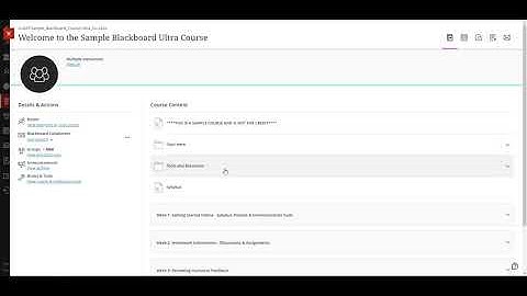 Sample Blackboard Orientation Video Ultra Course View