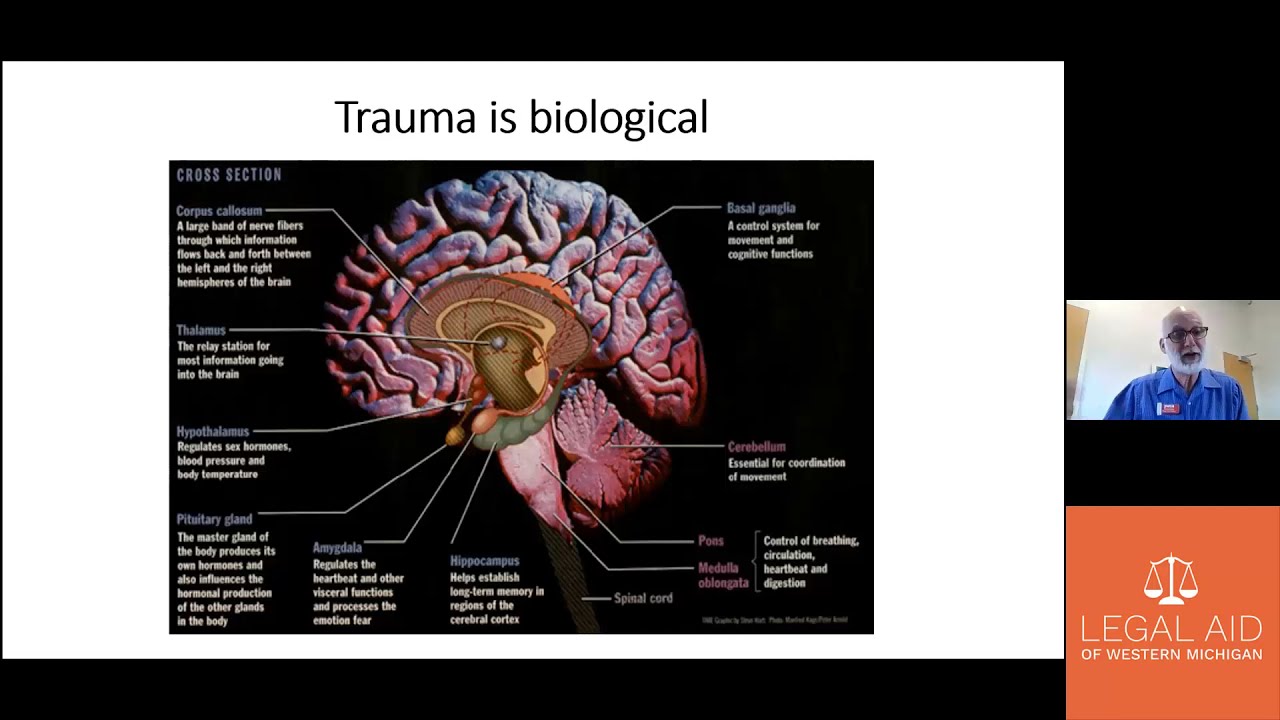 Trauma Informed Lawyering