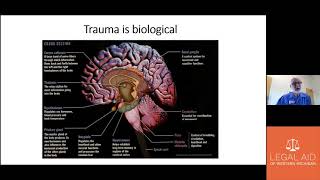 Trauma Informed Lawyering