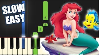 Part Of Your World - The Little Mermaid | SLOW EASY PIANO ... 