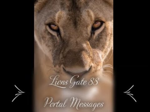 Lionsgate  88 portal messages