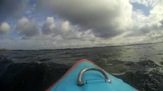 Paddleboard fra Lynæs til Frederiksværk