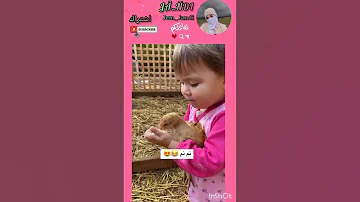نم نم اللطافة اشتراك بالقناة 