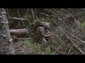 Can you spot the Welsh soldiers hiding on the battlefield?
