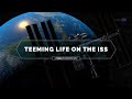 Life in Space: Understanding Biological Research on the ISS