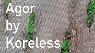 Album Review Agor By Koreless