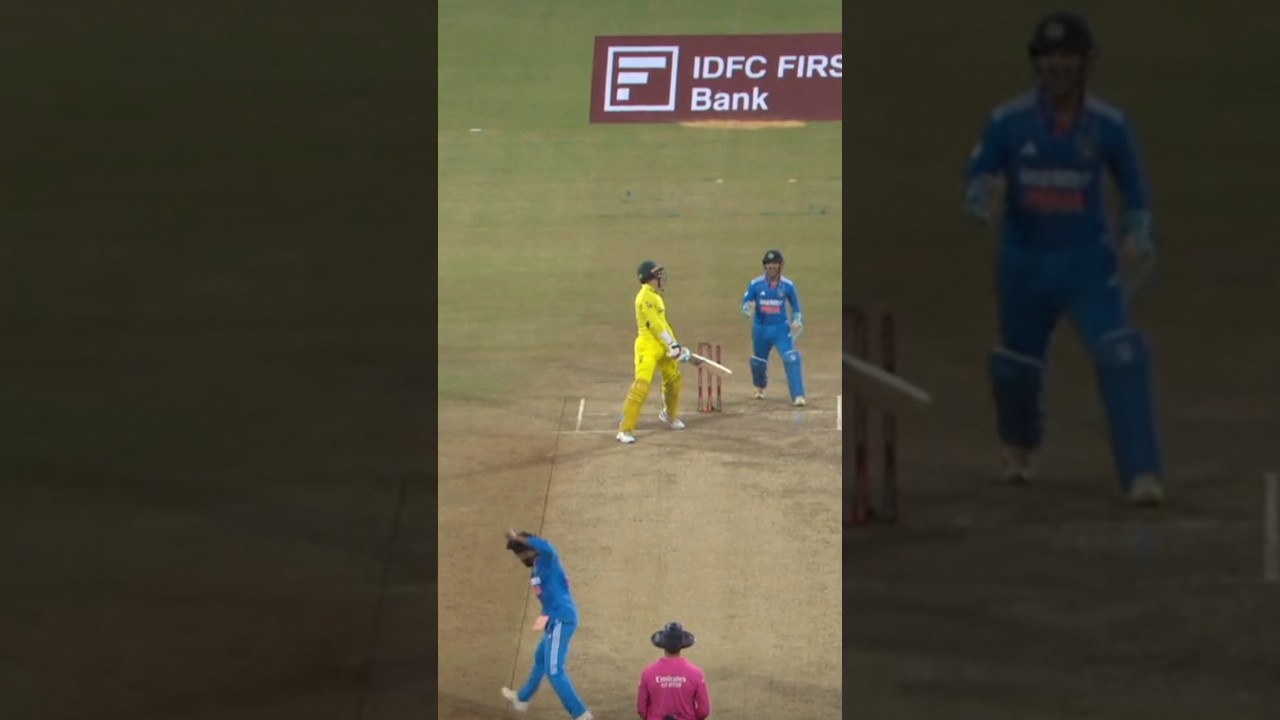 David Warner & Ravindra Jadeja 