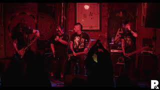 Noogy | Live at Reggies 7.3.26