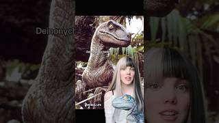 Deinonychus facts! #deinonychus #dinosaur #dinosaurfacts #velociraptor #dinosaurs #jurassicpark