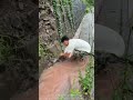 The 'Drafter' in Mountain Mud: Fighting Flood with Body to Clear Blocked Drainage"