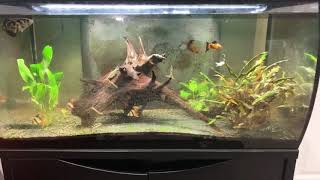 Fluval mega flex update
