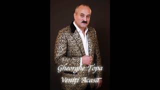 Gheorghe Topa - Veniti Acasa [Official Audio]