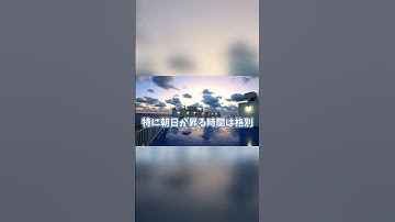 【フェリー旅】福岡から神奈川までフェリーで移動してみたら…🚢【次回予告】 #shorts #絶景 #船出