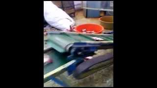 BELT CONVEYOR & DIVERTING MECHANISM