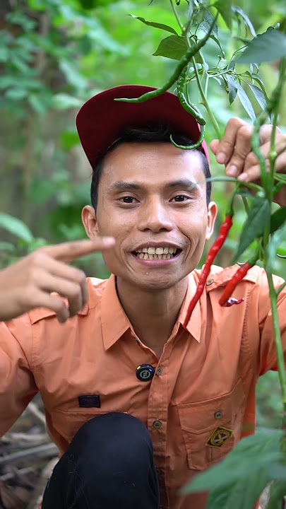 adek makan cabe merah
