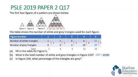 2019 PSLE Math Paper DETAILED solution for Pattern Qn 17 *READ DESCRIPTION FOR FULL PAPER SOLUTION*