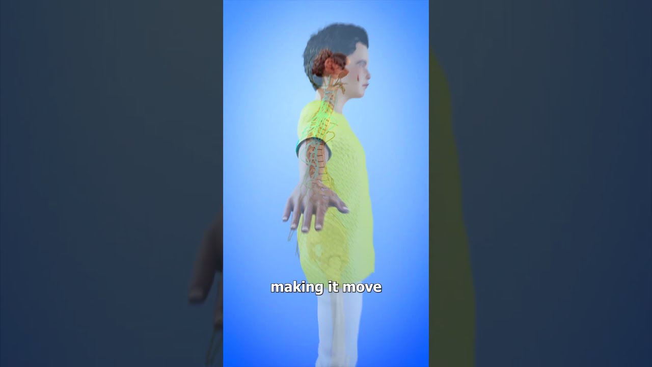 How Your Hand Can Move On Its Own 