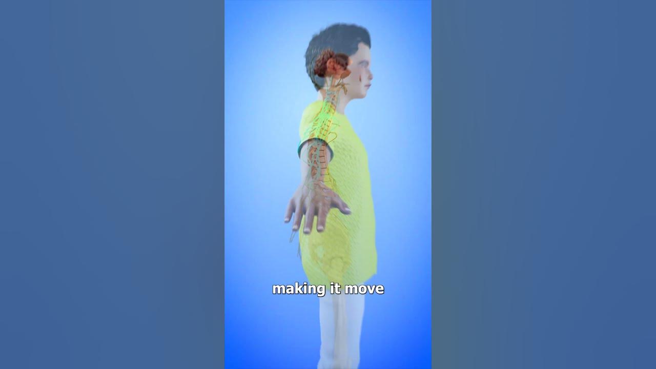 How Your Hand Can Move On Its Own π¨ How Your Hand Can Move On Its Own π¨
