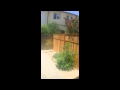Hybrid Homes Team NO STEP ON CARPORT design Hybrid Homes Team NO STEP ON CARPORT design