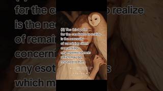 (Read The Description) #manlyphall #manlypalmerhall #divineguidance #spiritual #occult #seajah01 ⚚