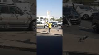 they fly the bird codycross 5